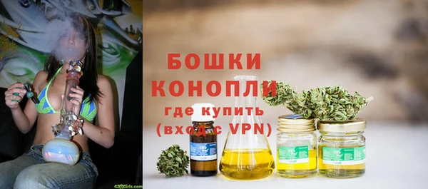 гидра Семилуки