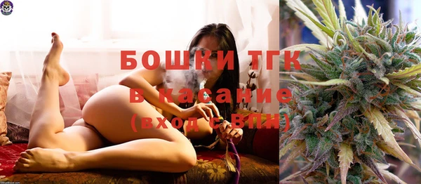 гидра Семилуки