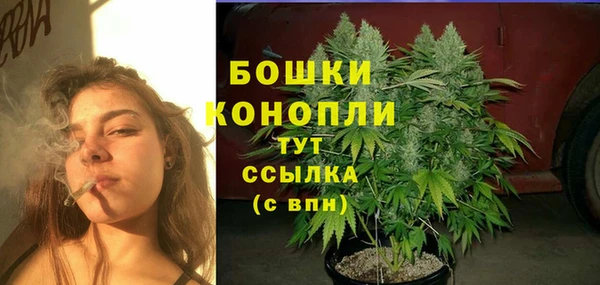 гидра Семилуки