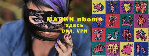 гидра Семилуки