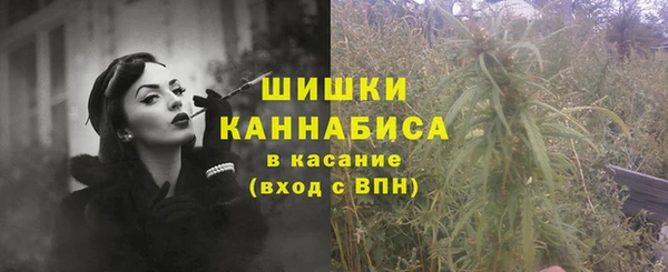 гидра Семилуки